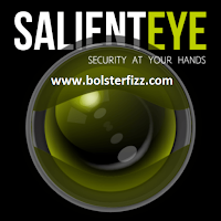 Salient Eye Security Remote for PC Salient Eye Security Remote for PC