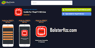 Bluestacks on its official website Bluestacks on its official website